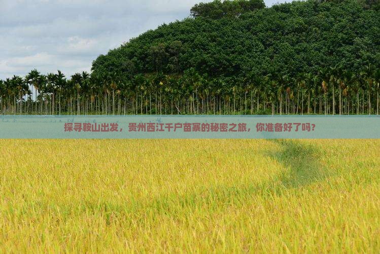 探寻鞍山出发，贵州西江千户苗寨的秘密之旅，你准备好了吗？