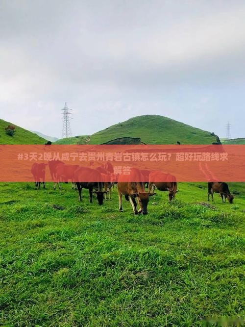 #3天2晚从咸宁去贵州青岩古镇怎么玩？超好玩路线求解答