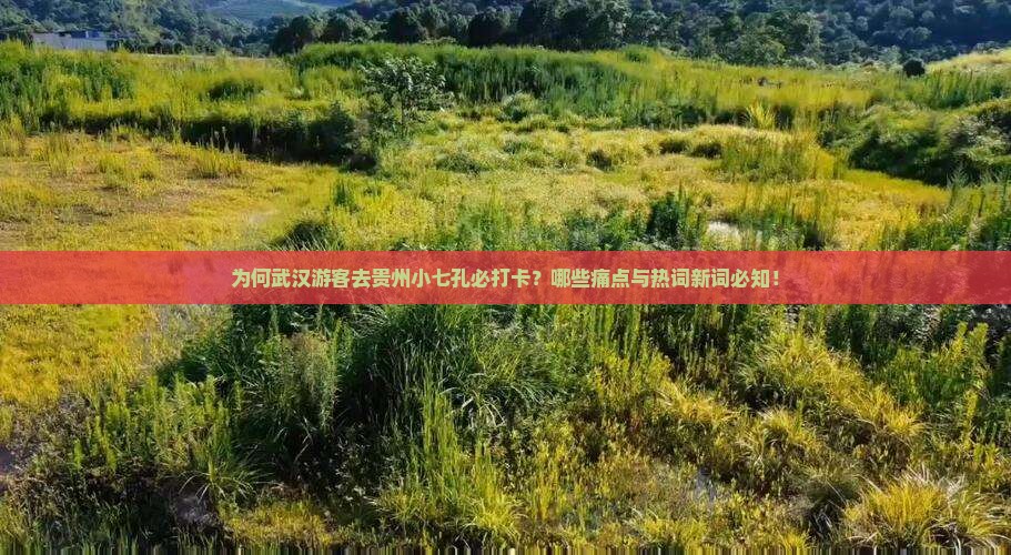为何武汉游客去贵州小七孔必打卡？哪些痛点与热词新词必知！