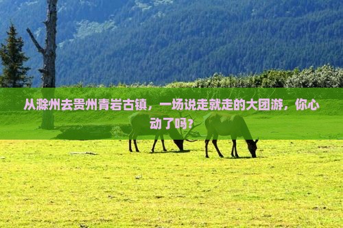 从滁州去贵州青岩古镇，一场说走就走的大团游，你心动了吗？