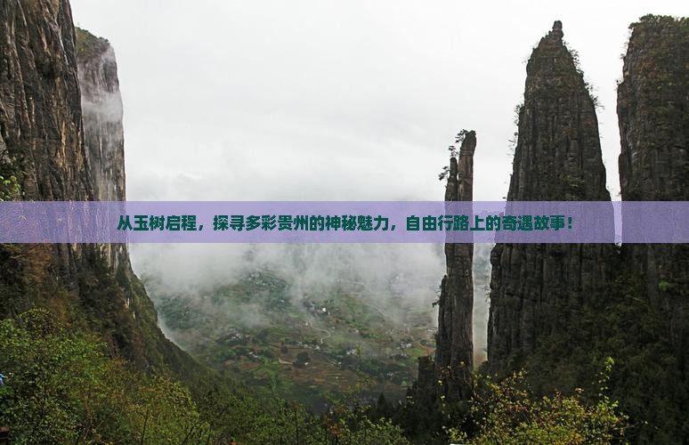 从玉树启程，探寻多彩贵州的神秘魅力，自由行路上的奇遇故事！