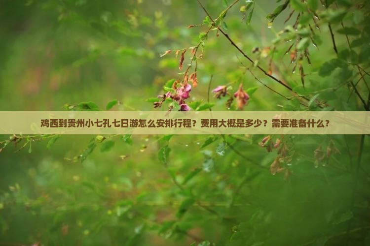 鸡西到贵州小七孔七日游怎么安排行程？费用大概是多少？需要准备什么？