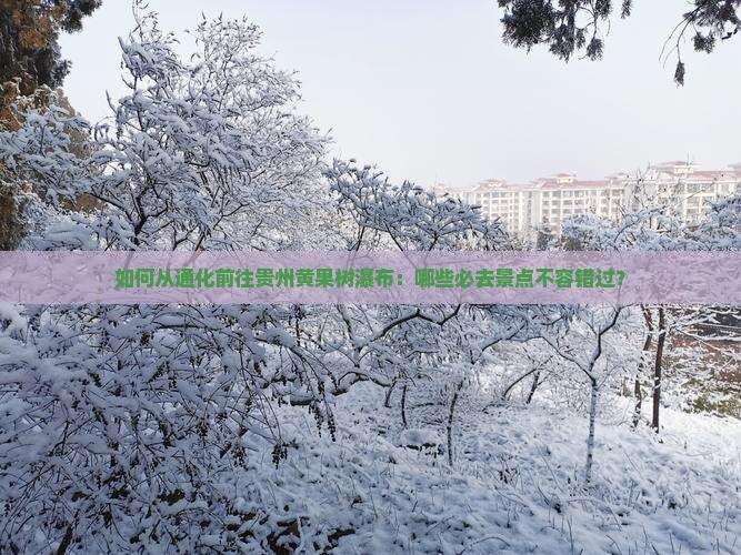 如何从通化前往贵州黄果树瀑布：哪些必去景点不容错过？