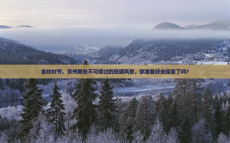 金秋时节，贵州那些不可错过的斑斓风景，你准备好去探索了吗？