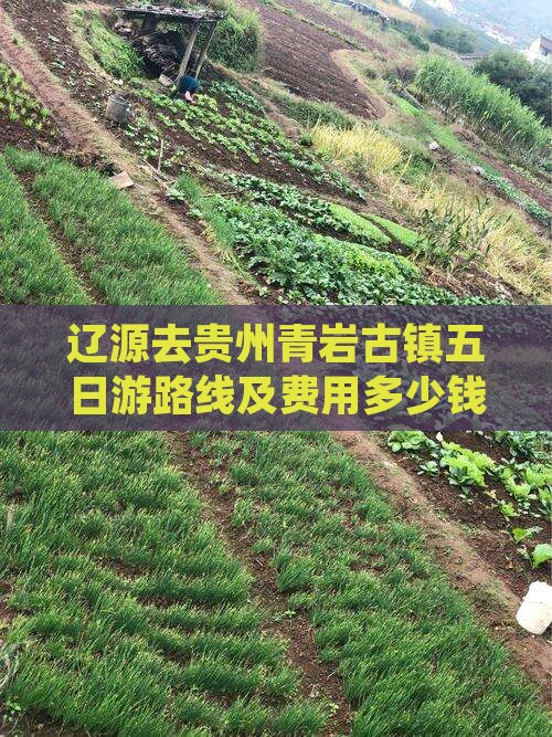 辽源去贵州青岩古镇五日游