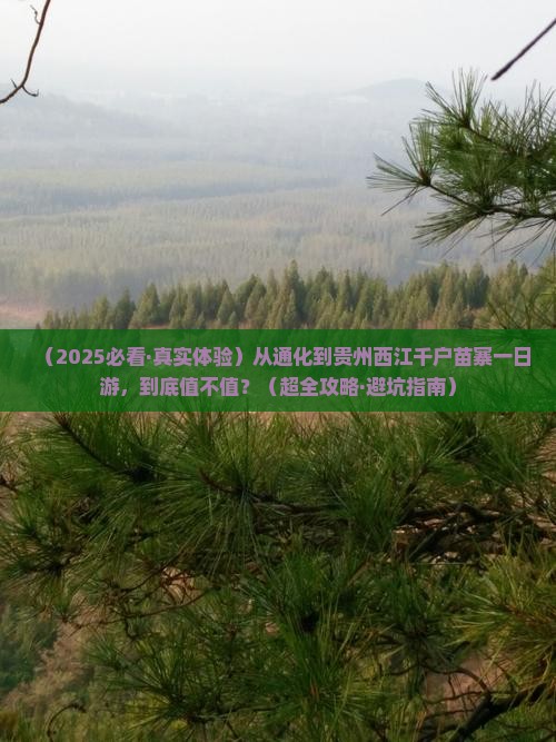 通化到贵州西江千户苗寨一日 通化到贵州西江千户苗寨一日