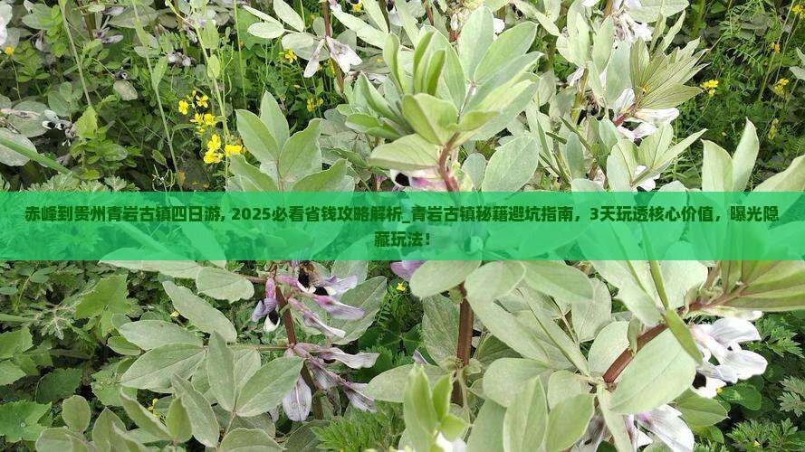 赤峰到贵州青岩古镇四日游