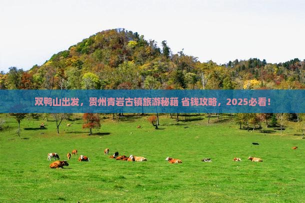 双鸭山到贵州青岩古镇旅行社