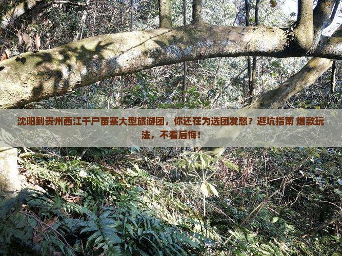 沈阳到贵州西江千户苗寨大型旅游团