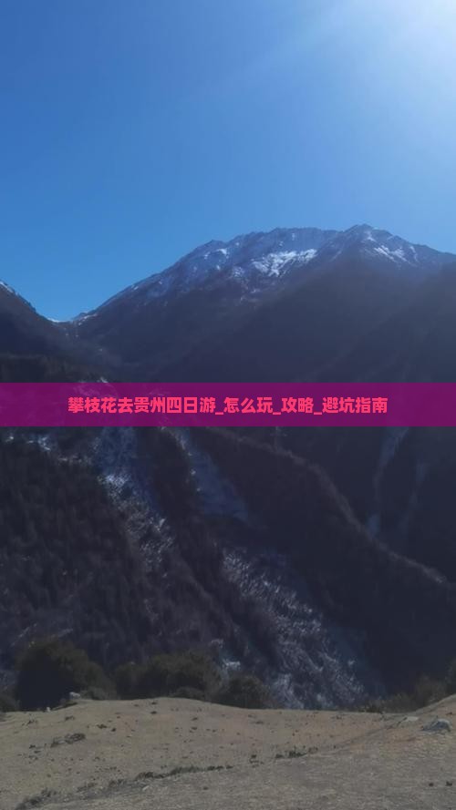 攀枝花去贵州四日游