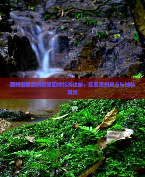 惠州去贵州贵阳团体旅游