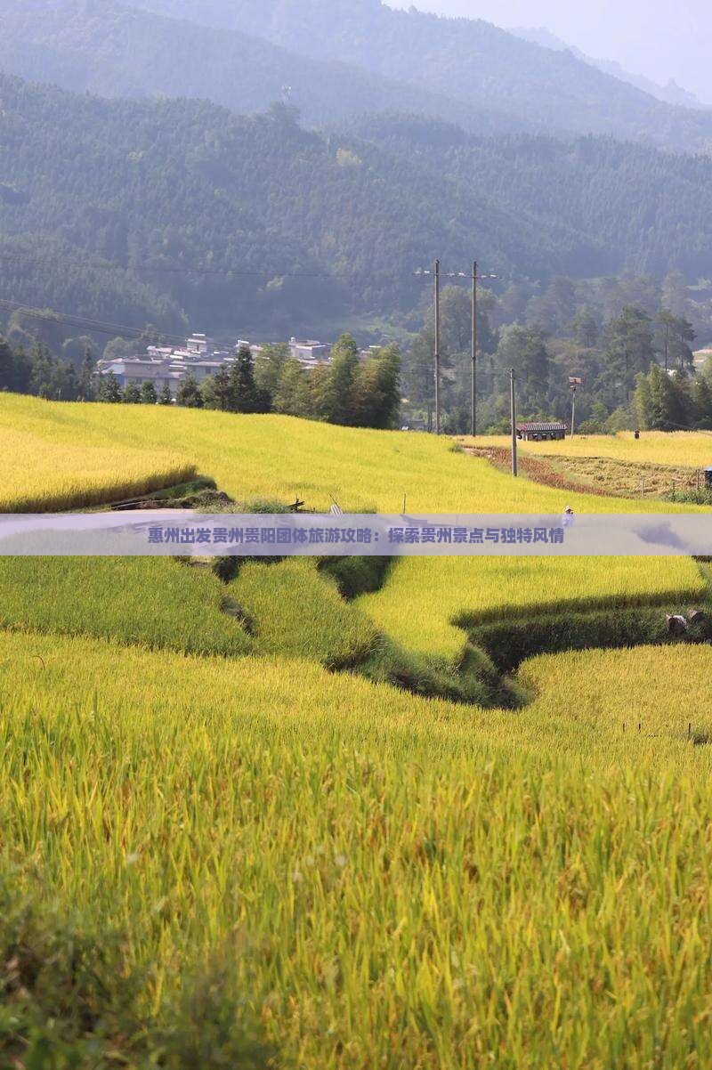 惠州去贵州贵阳团体旅游