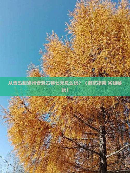 青岛去贵州青岩古镇七日游