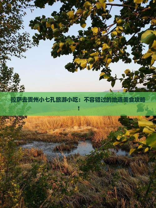 拉萨去贵州小七孔旅游小吃