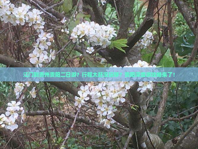江门到贵州贵阳二日游