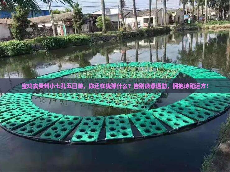 宝鸡去贵州小七孔五日游