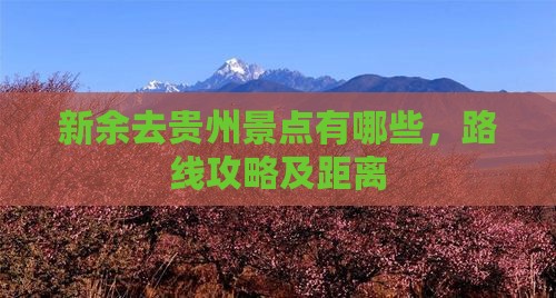 新余去贵州景点
