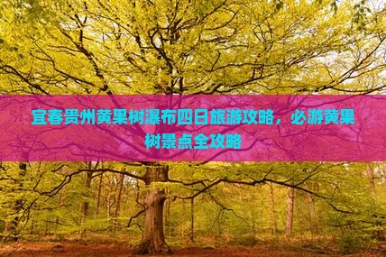 宜春去贵州黄果树瀑布四日游