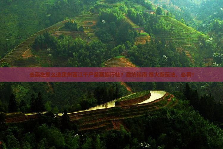 崇左去贵州西江千户苗寨旅行社