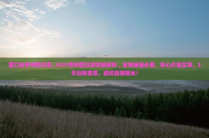 营口去贵州四日游