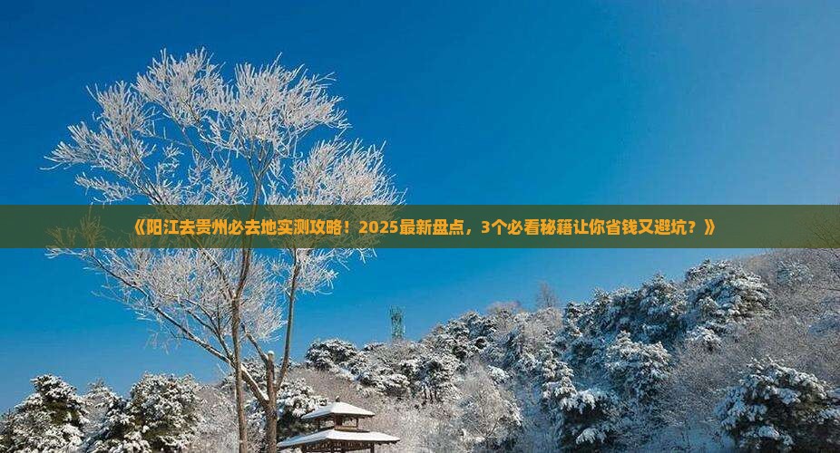 阳江去贵州必去地