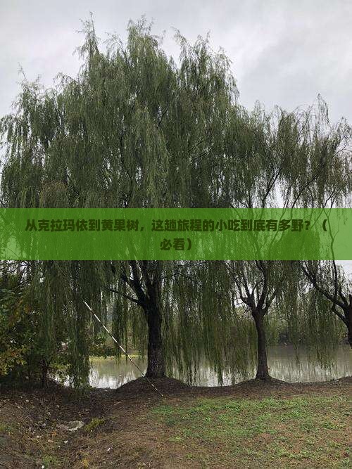 克拉玛依到贵州黄果树瀑布旅游小吃
