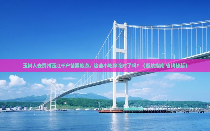 玉树去贵州西江千户苗寨旅游小吃