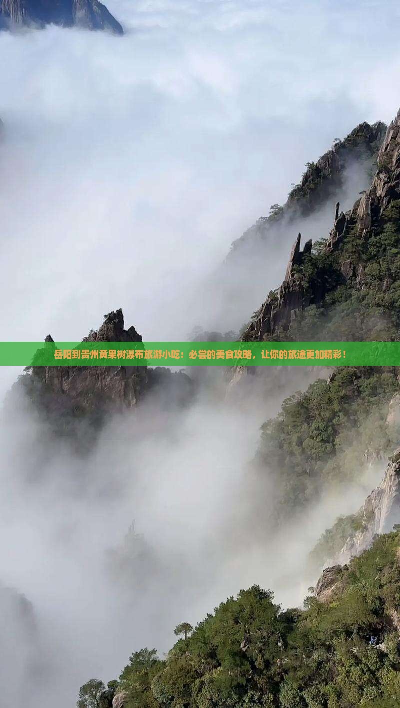 岳阳到贵州黄果树瀑布旅游小吃
