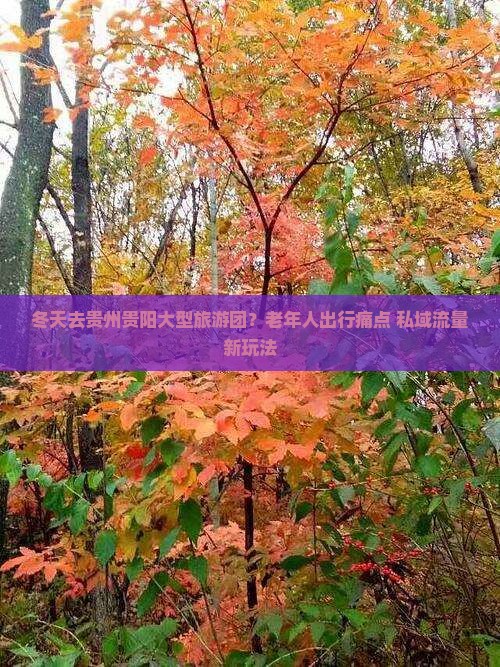 冬天去贵州贵阳大型旅游团？老年人出行痛点+私域流量新玩法