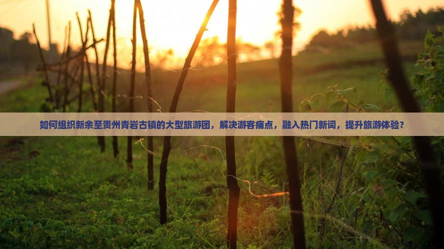 如何组织新余至贵州青岩古镇的大型旅游团，解决游客痛点，融入热门新词，提升旅游体验？