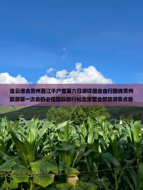 连云港去贵州西江千户苗寨六日游详细自由行路线贵州旅游第一次去的必佳国际旅行社北京营业部旅游景点旅行攻略