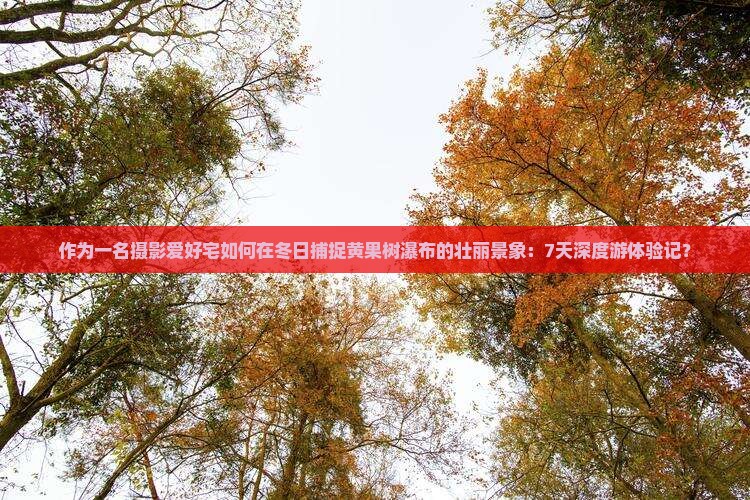 作为一名摄影爱好宅如何在冬日捕捉黄果树瀑布的壮丽景象：7天深度游体验记？