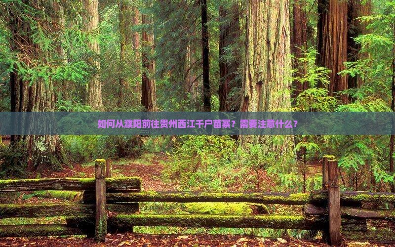 如何从濮阳前往贵州西江千户苗寨？需要注意什么？