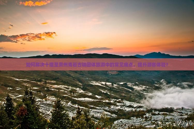 如何解决十堰至贵州青岩古镇团体旅游中的常见痛点，提升游客体验？