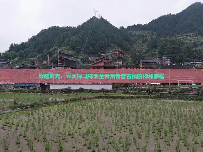 穿越时光，五天探寻株洲至贵州青岩古镇的神秘旅程