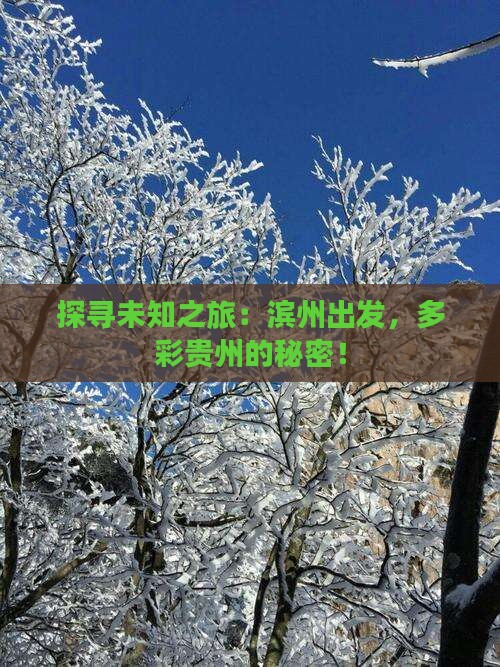 探寻未知之旅：滨州出发，多彩贵州的秘密！
