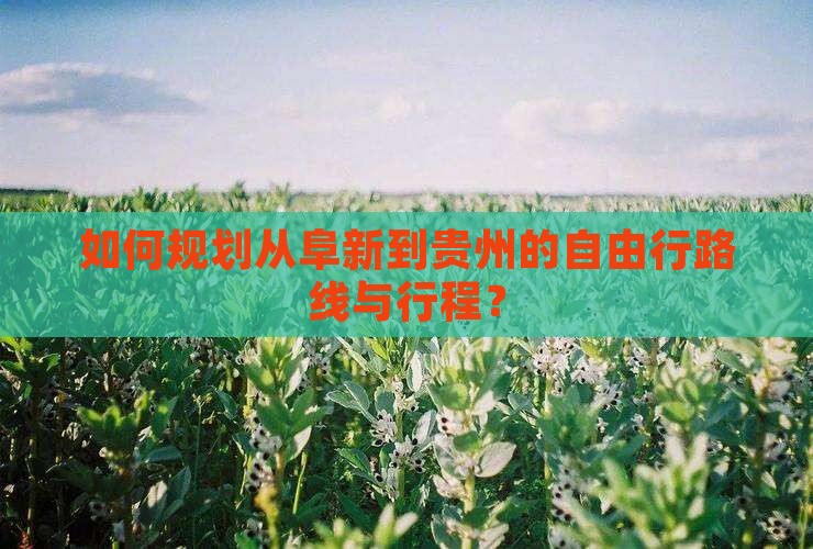 如何规划从阜新到贵州的自由行路线与行程？