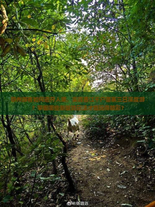 鄂州游客如何避开人潮，实现西江千户苗寨三日深度游？掌握哪些新趋势玩法才能玩得精彩？