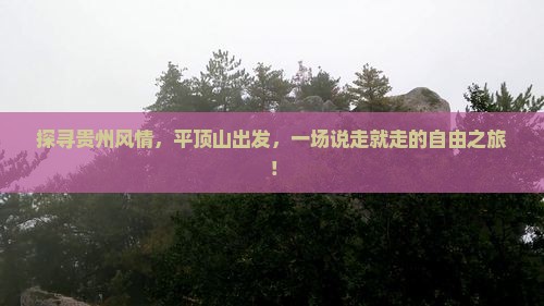 探寻贵州风情，平顶山出发，一场说走就走的自由之旅！