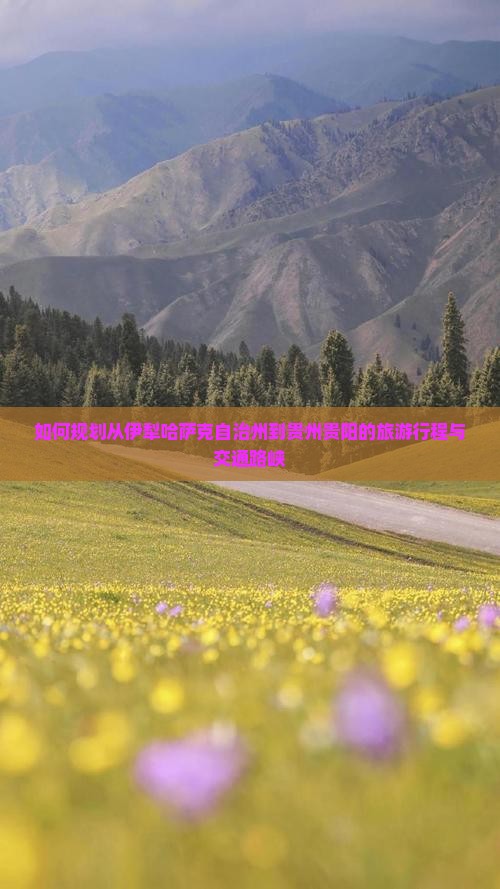 如何规划从伊犁哈萨克自治州到贵州贵阳的旅游行程与交通路峡