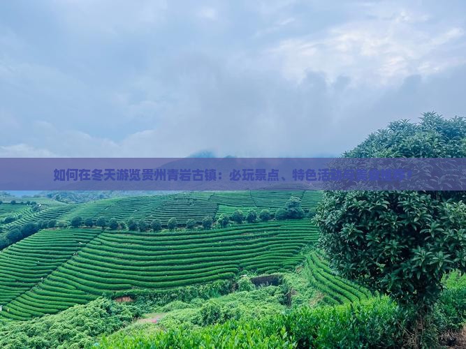 如何在冬天游览贵州青岩古镇：必玩景点、特色活动与美食推荐？