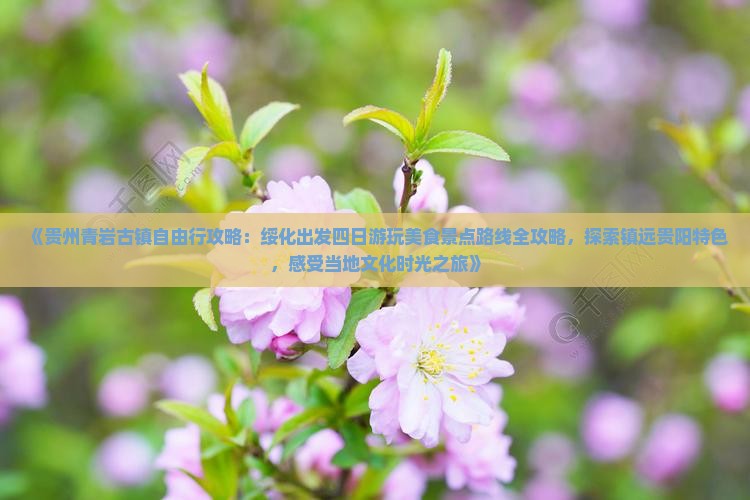 《贵州青岩古镇自由行攻略：绥化出发四日游玩美食景点路线全攻略，探索镇远贵阳特色，感受当地文化时光之旅》