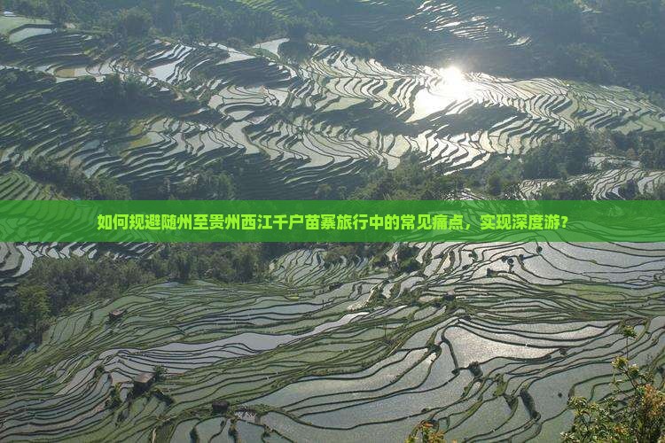如何规避随州至贵州西江千户苗寨旅行中的常见痛点，实现深度游？