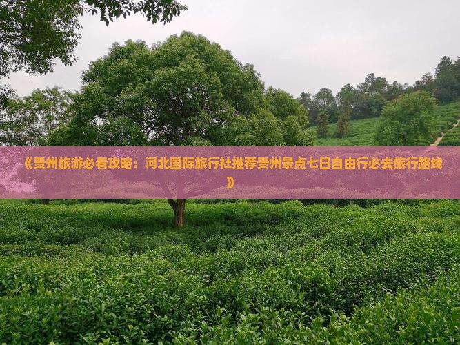 《贵州旅游必看攻略：河北国际旅行社推荐贵州景点七日自由行必去旅行路线》