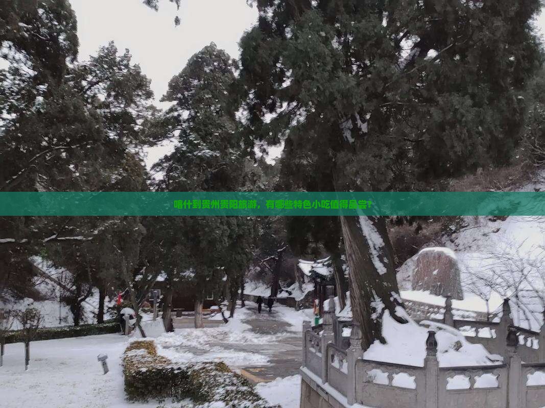 喀什到贵州贵阳旅游，有哪些特色小吃值得品尝？
