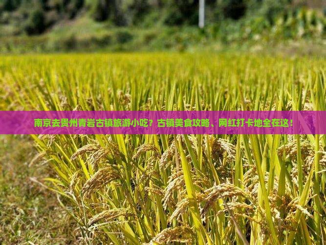 南京去贵州青岩古镇旅游小吃？古镇美食攻略、网红打卡地全在这！