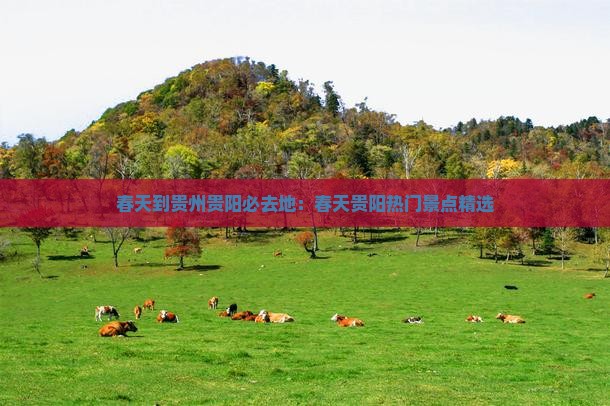 春天到贵州贵阳必去地：春天贵阳热门景点精选