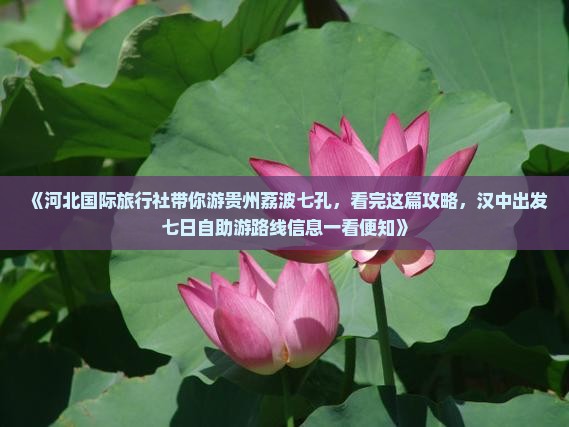 《河北国际旅行社带你游贵州荔波七孔，看完这篇攻略，汉中出发七日自助游路线信息一看便知》