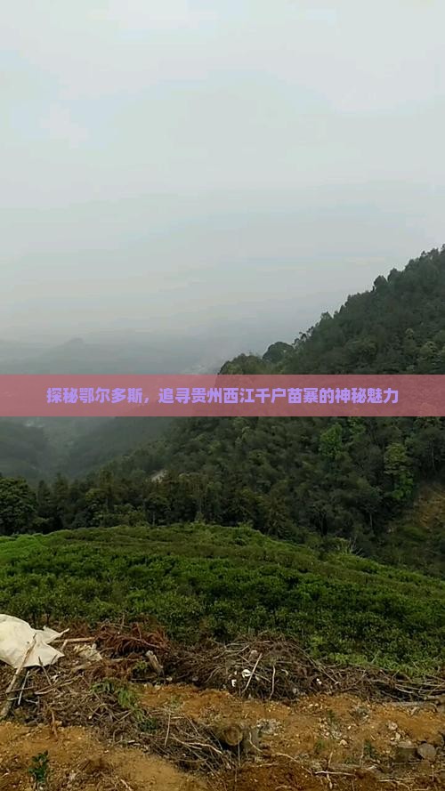 探秘鄂尔多斯，追寻贵州西江千户苗寨的神秘魅力