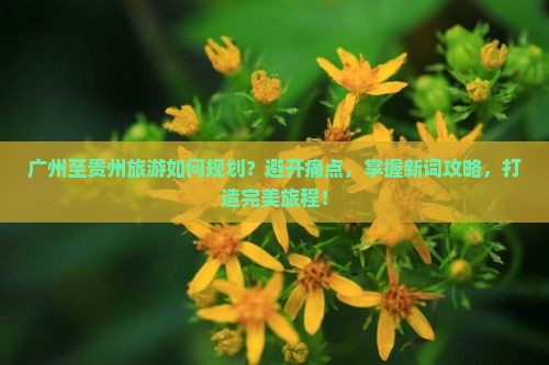 广州至贵州旅游如何规划？避开痛点，掌握新词攻略，打造完美旅程！